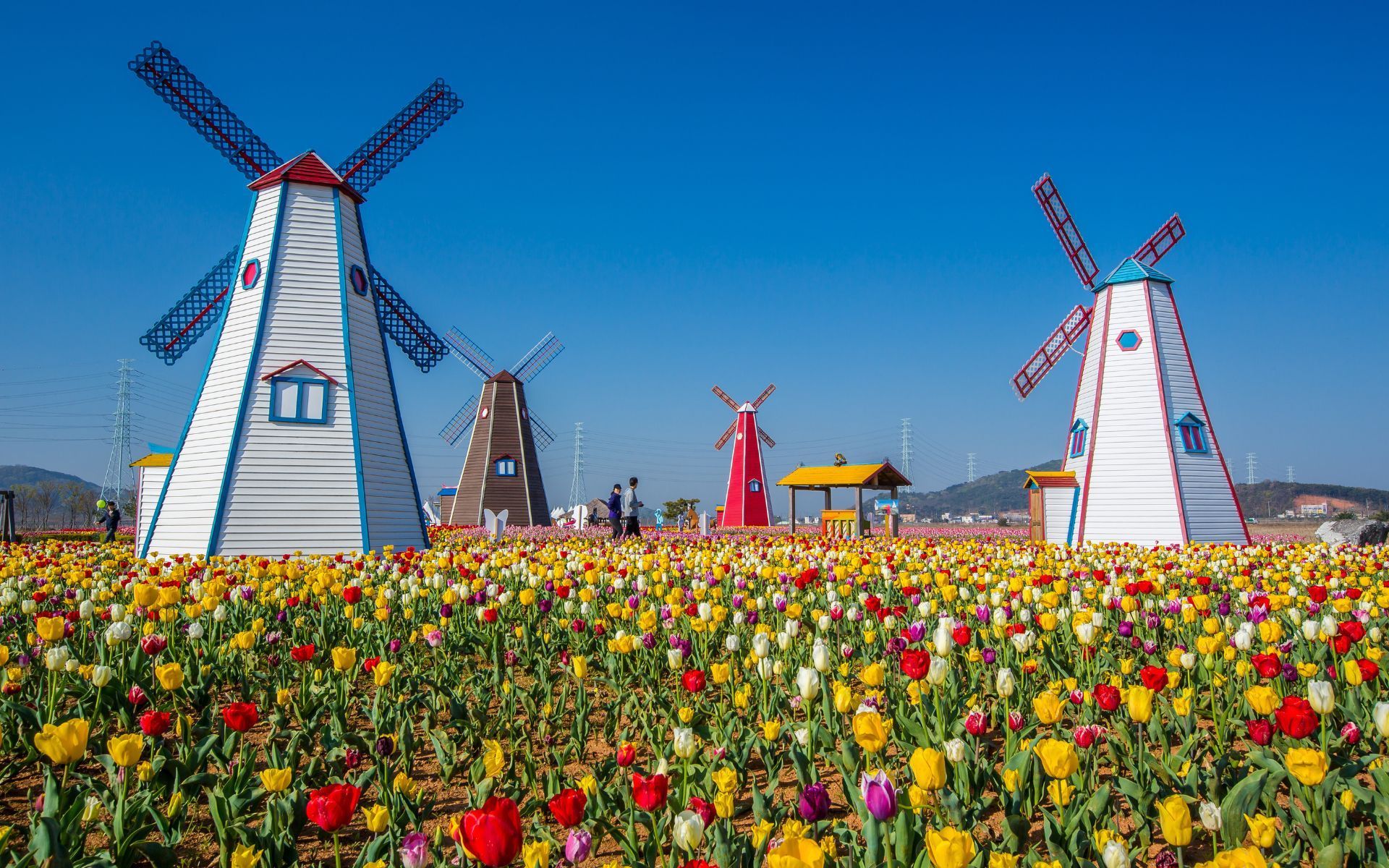 Diseñadores de Experiencias Holanda